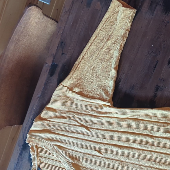 Like New! Natural Reflections Gold Short Sleeve V-Neck Cotton Ribbed Tee-Sz L. - Picture 4 of 10